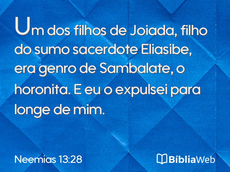 Neemias 13:28 em imagem para compartilhar