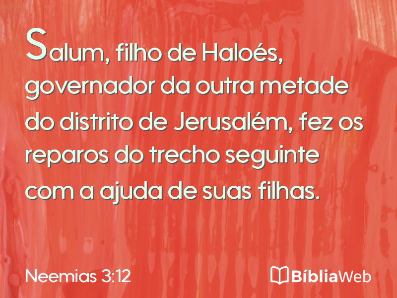 Neemias 3:12 em imagem para compartilhar