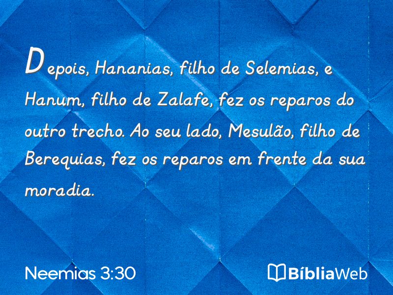 Neemias 3:30 em imagem para compartilhar