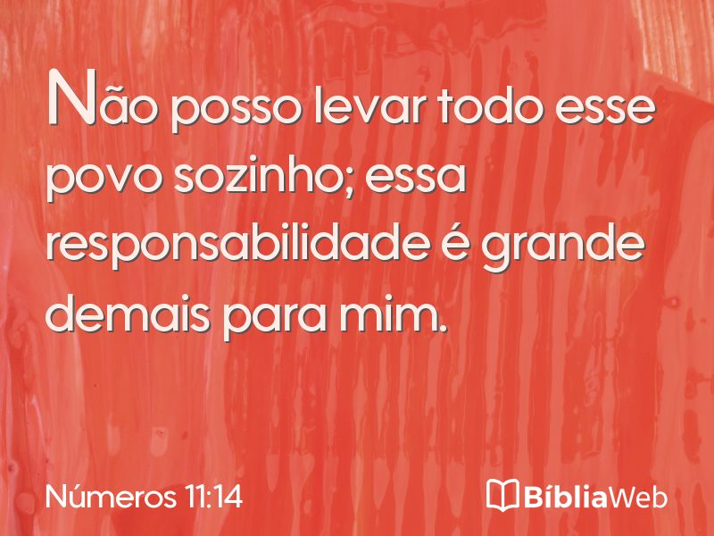 Números 11:14 em imagem para compartilhar