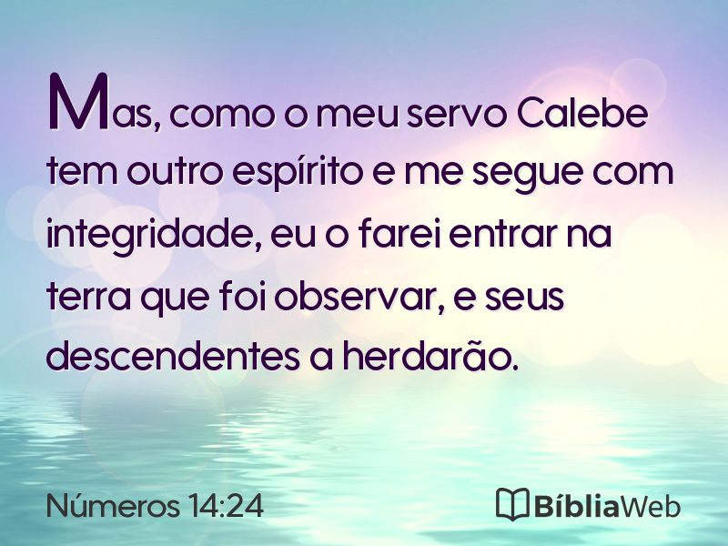 Números 14:24 em imagem para compartilhar