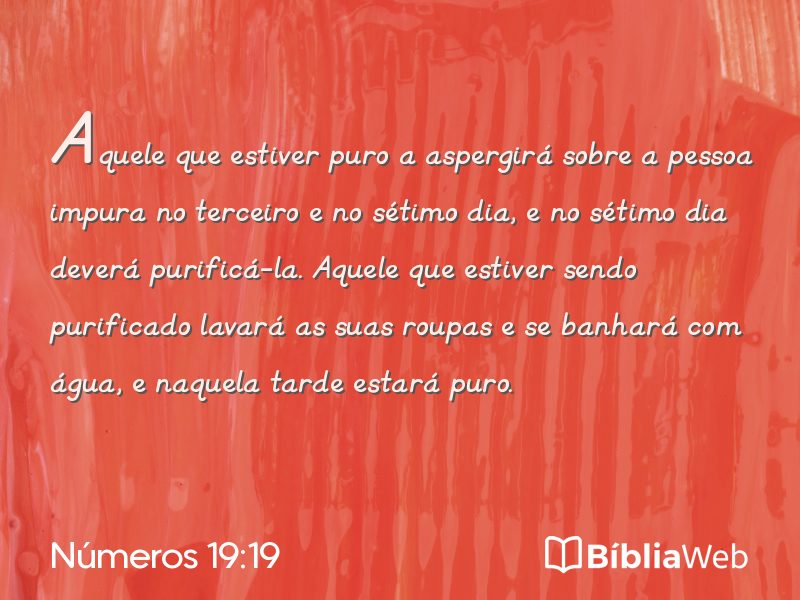 Números 19:19 em imagem para compartilhar