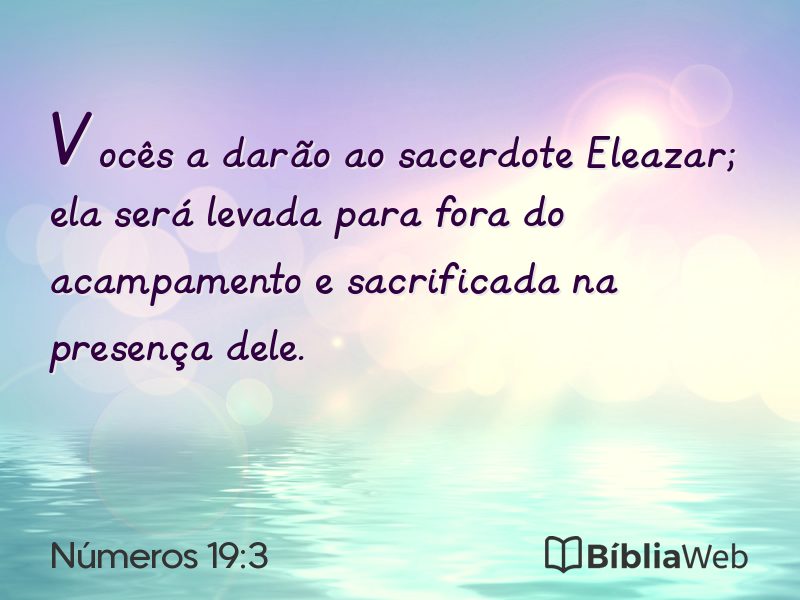 Números 19:3 em imagem para compartilhar