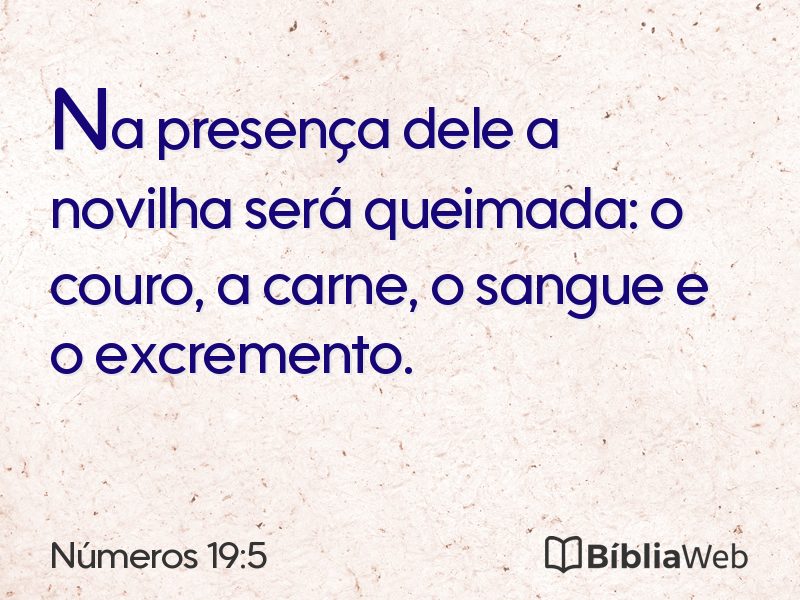 Números 19:5 em imagem para compartilhar