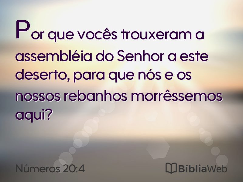 Números 20:4 em imagem para compartilhar