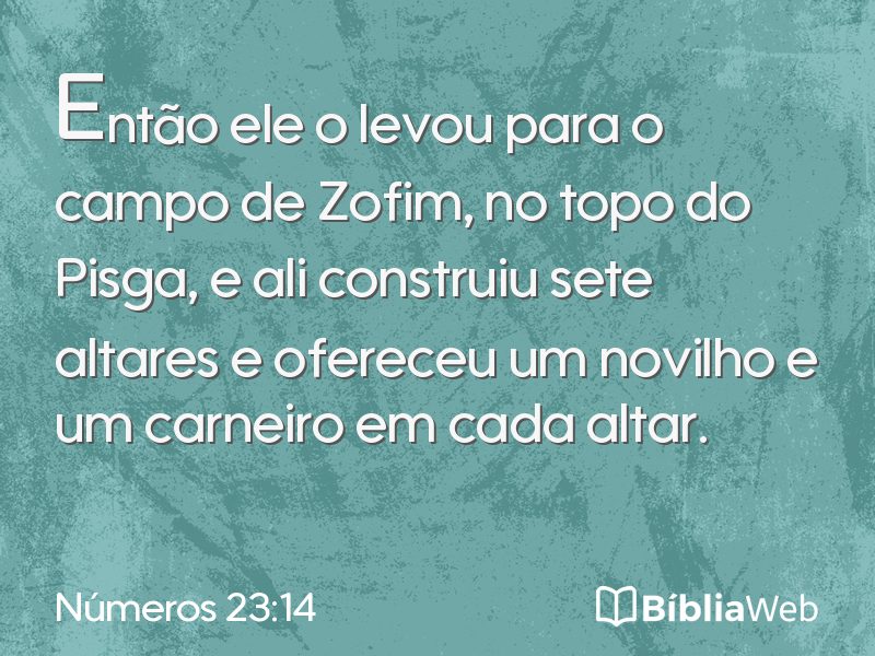 Números 23:14 em imagem para compartilhar