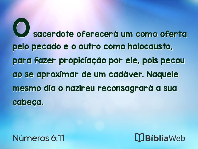 Números 6:11 em imagem para compartilhar