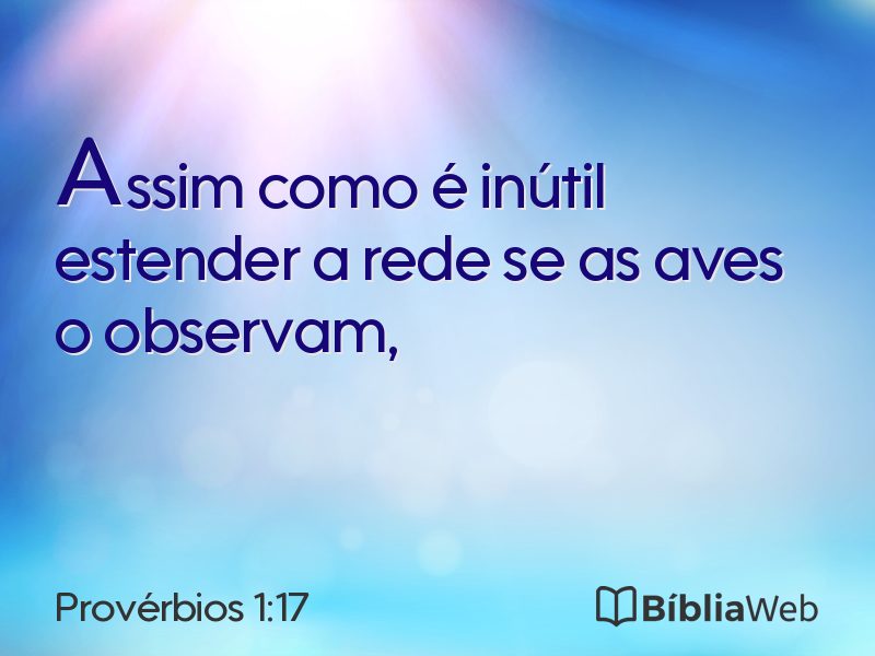 Provérbios 1:17 em imagem para compartilhar