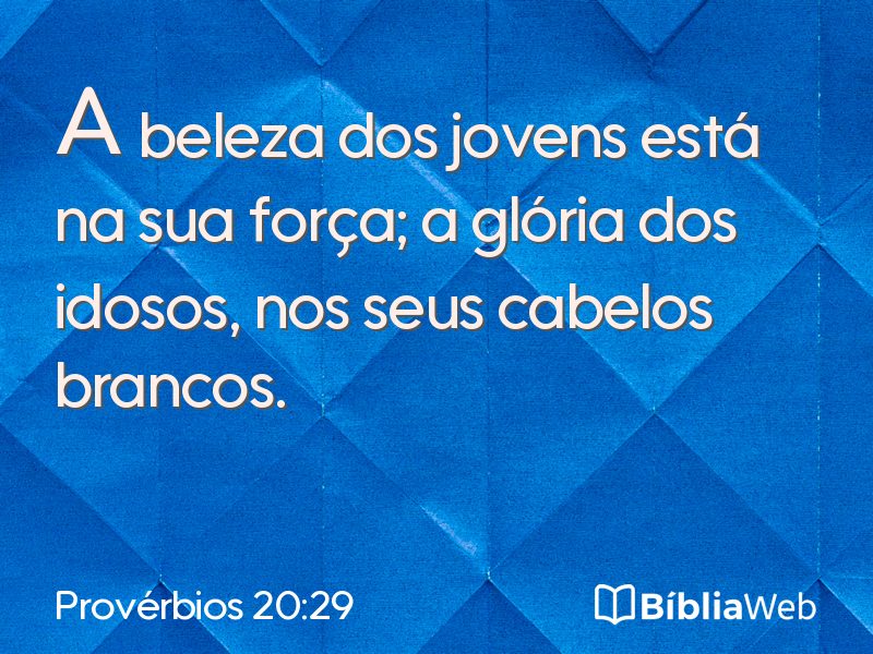 Provérbios 20:29 em imagem para compartilhar