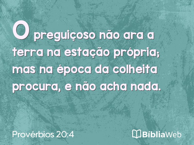 Provérbios 20:4 em imagem para compartilhar