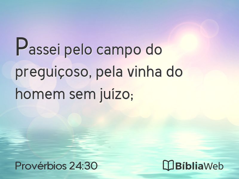 Provérbios 24:30 em imagem para compartilhar