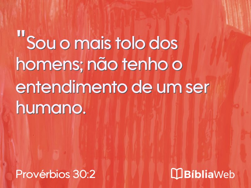Provérbios 30:2 em imagem para compartilhar
