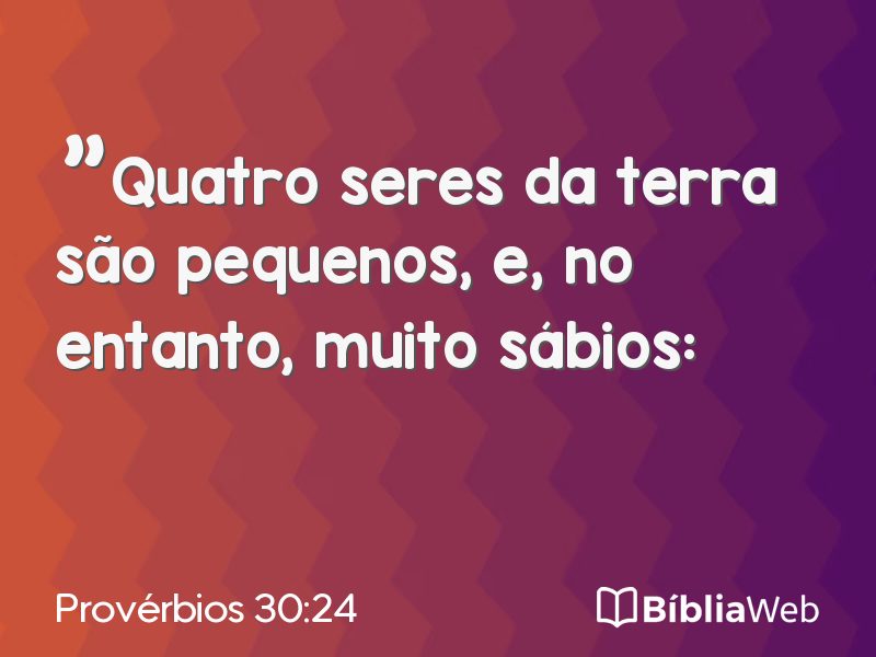 Provérbios 30:24 em imagem para compartilhar
