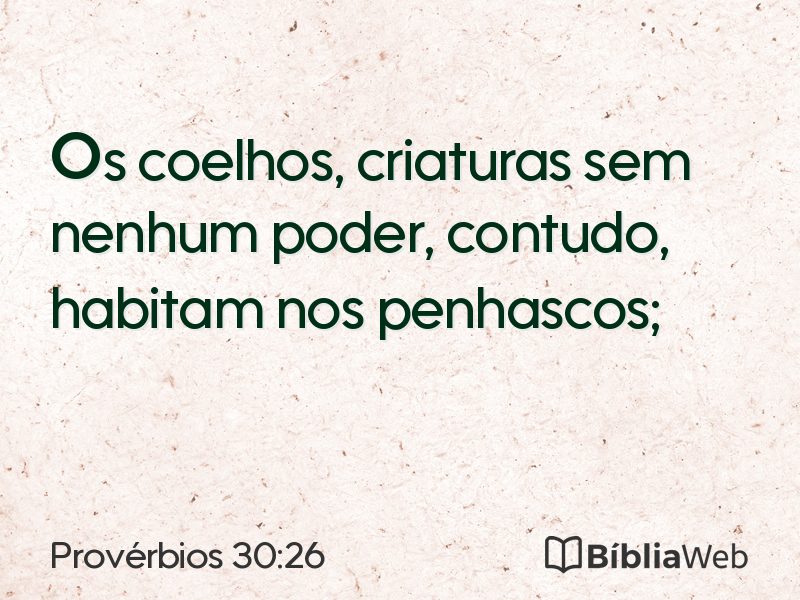 Provérbios 30:26 em imagem para compartilhar