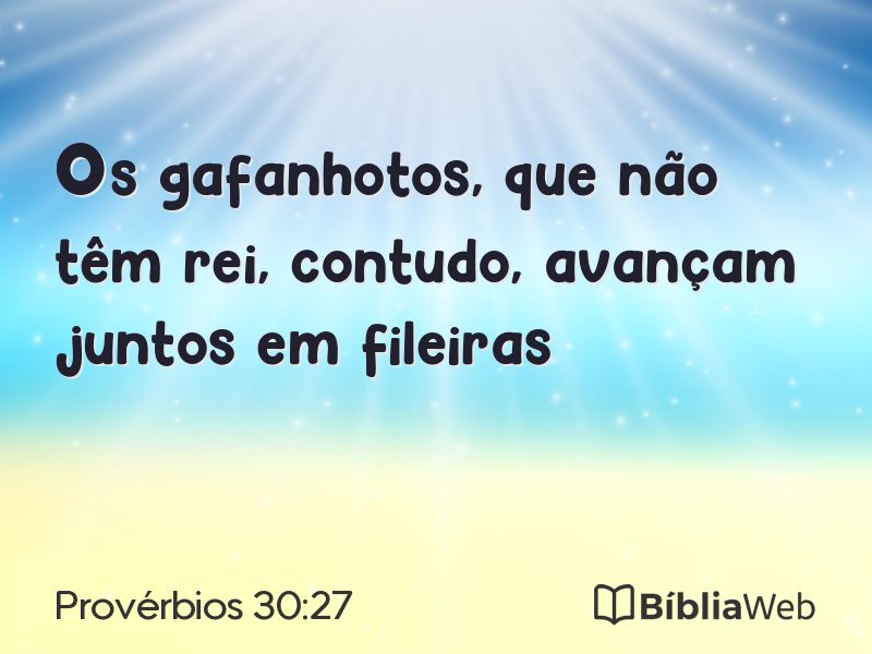 Provérbios 30:27 em imagem para compartilhar