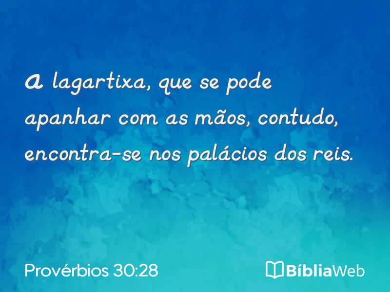 Provérbios 30:28 em imagem para compartilhar