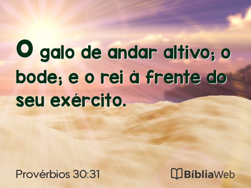 Provérbios 30:31 em imagem para compartilhar
