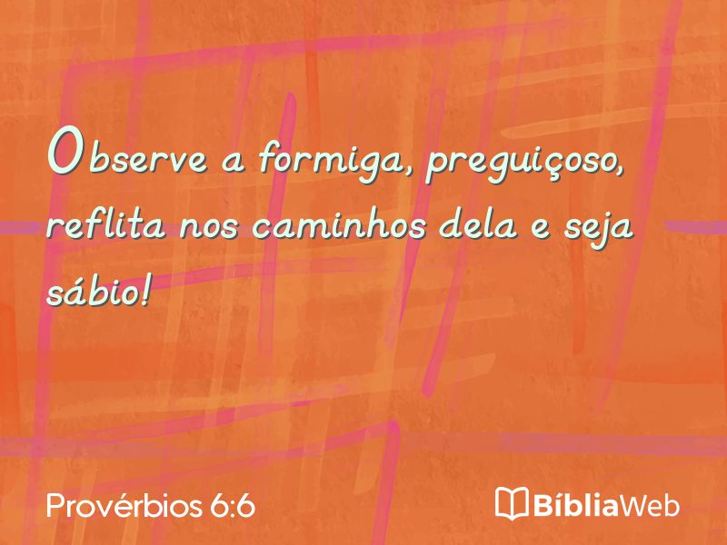 Provérbios 6:6 em imagem para compartilhar