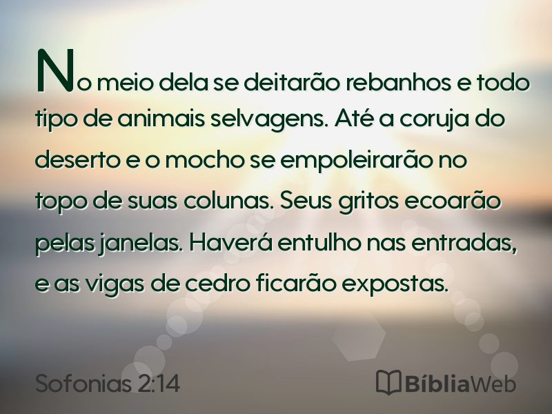 Sofonias 2:14 em imagem para compartilhar