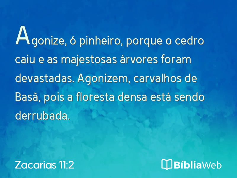 Zacarias 11:2 em imagem para compartilhar