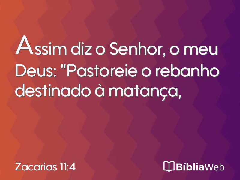Zacarias 11:4 em imagem para compartilhar