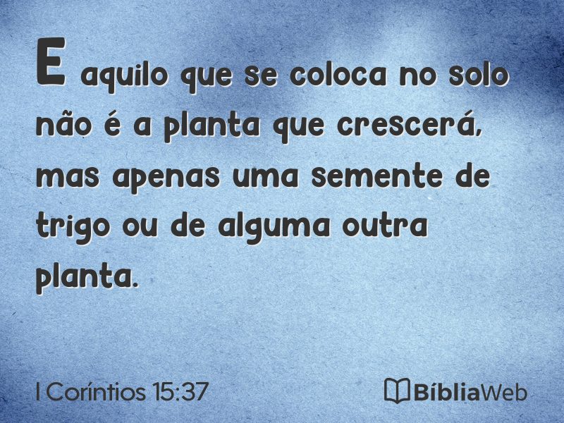 I Coríntios 15:37 em imagem para compartilhar