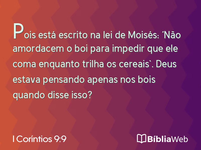 I Coríntios 9:9 em imagem para compartilhar