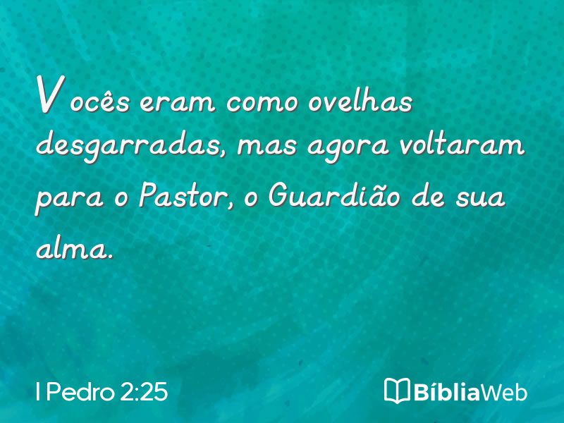 I Pedro 2:25 em imagem para compartilhar