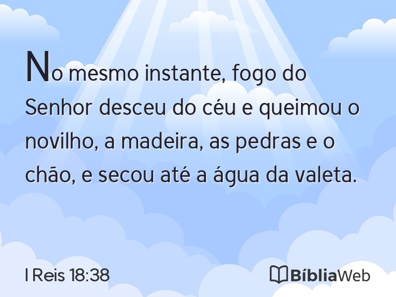 I Reis 18:38 em imagem para compartilhar
