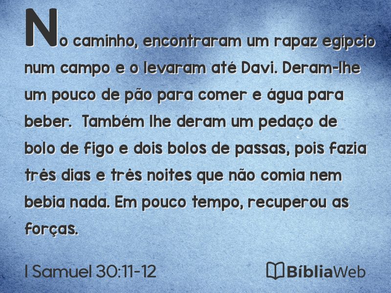 I Samuel 30:11-12 em imagem para compartilhar