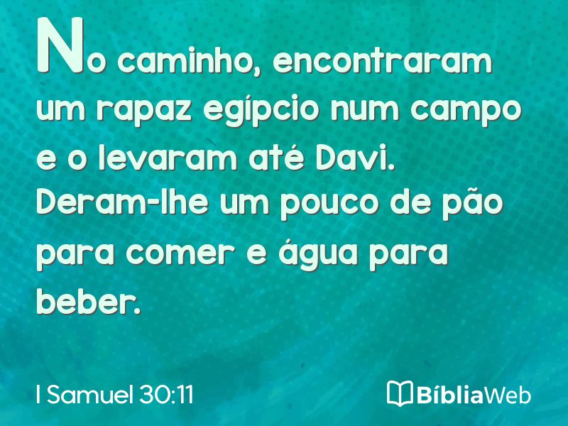 I Samuel 30:11 em imagem para compartilhar