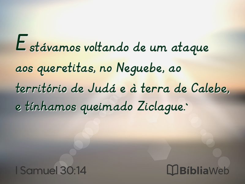 I Samuel 30:14 em imagem para compartilhar