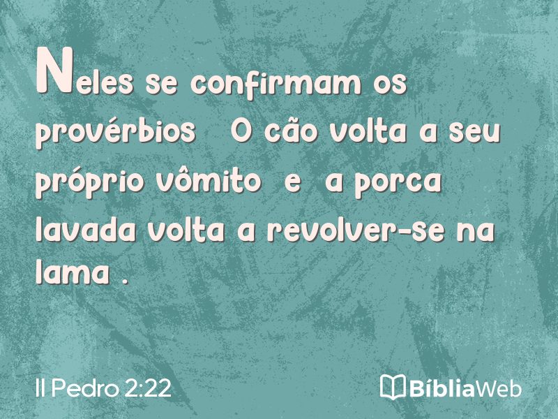 II Pedro 2:22 em imagem para compartilhar