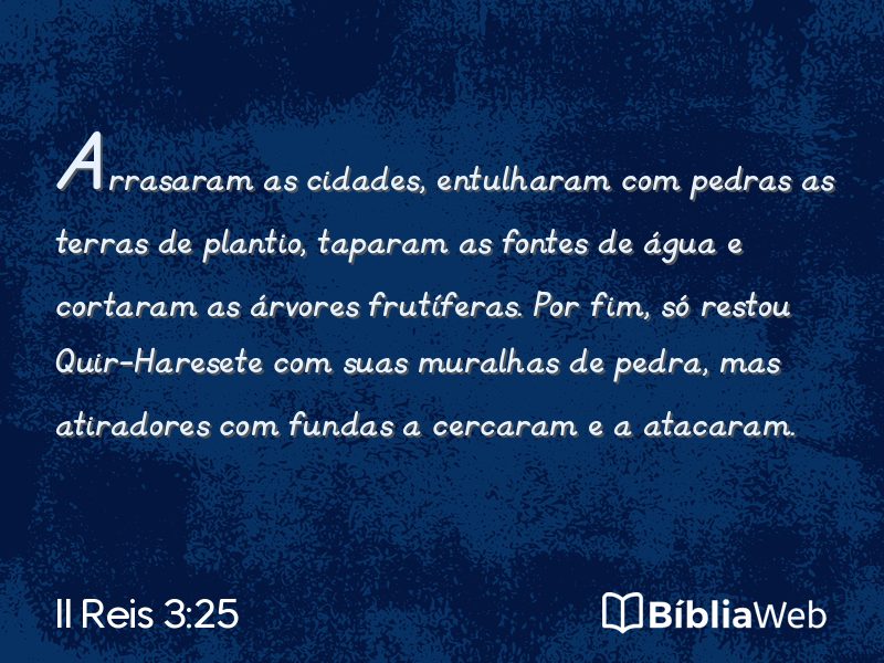 II Reis 3:25 em imagem para compartilhar