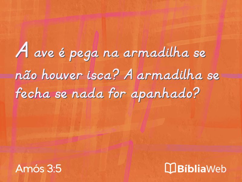 Amós 3:5 em imagem para compartilhar