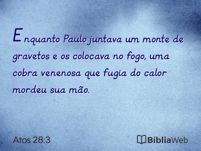 Atos 28:3 em imagem para compartilhar