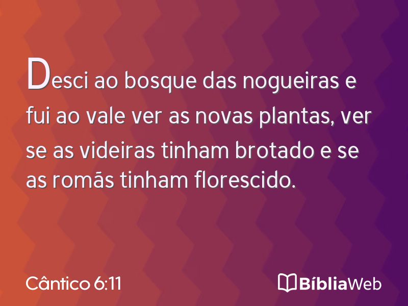 Cântico 6:11 em imagem para compartilhar