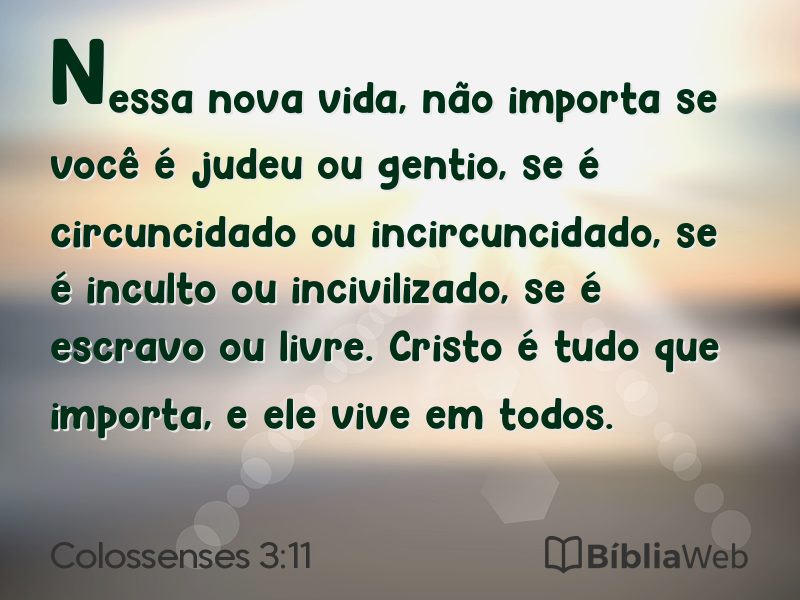 Colossenses 3:11 em imagem para compartilhar