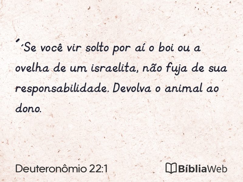 Deuteronômio 22:1 em imagem para compartilhar
