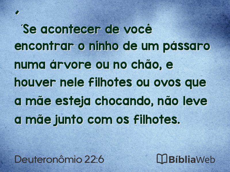Deuteronômio 22:6 em imagem para compartilhar