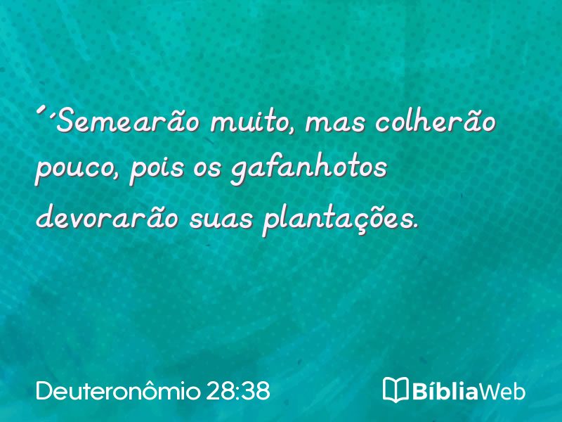Deuteronômio 28:38 em imagem para compartilhar