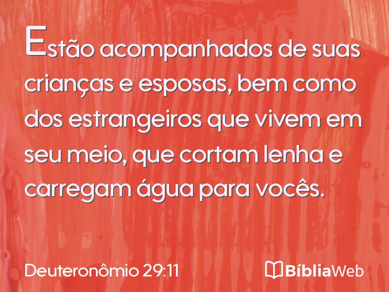 Deuteronômio 29:11 em imagem para compartilhar