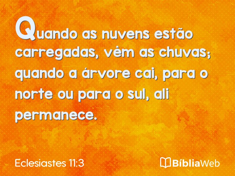 Eclesiastes 11:3 em imagem para compartilhar