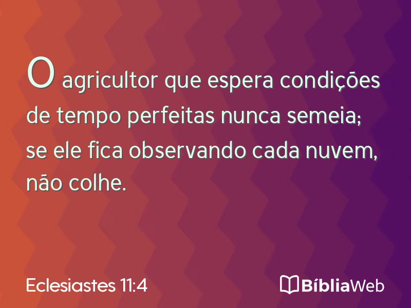 Eclesiastes 11:4 em imagem para compartilhar