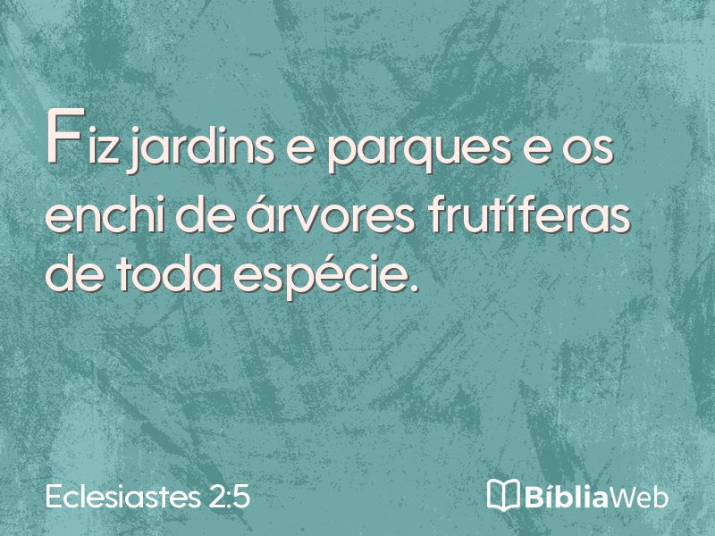 Eclesiastes 2:5 em imagem para compartilhar