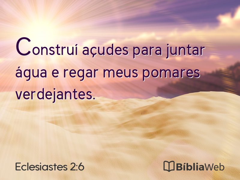 Eclesiastes 2:6 em imagem para compartilhar