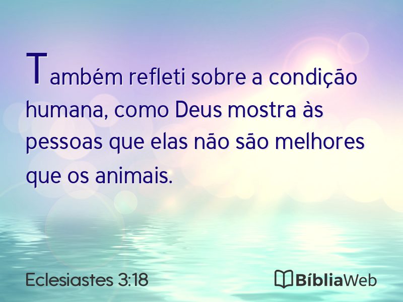 Eclesiastes 3:18 em imagem para compartilhar