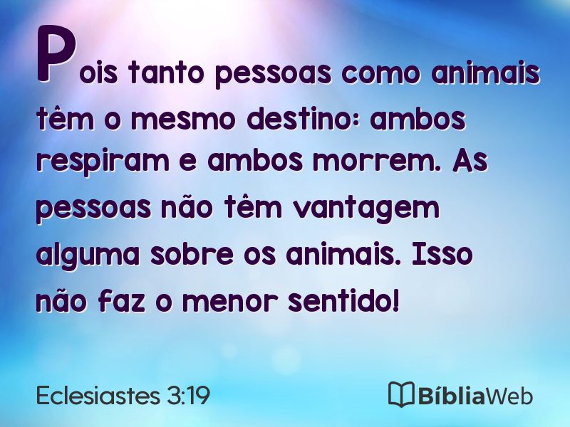 Eclesiastes 3:19 em imagem para compartilhar