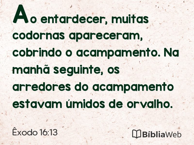 Êxodo 16:13 em imagem para compartilhar