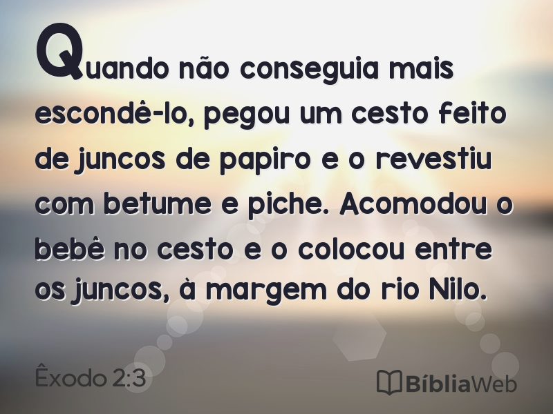 Êxodo 2:3 em imagem para compartilhar